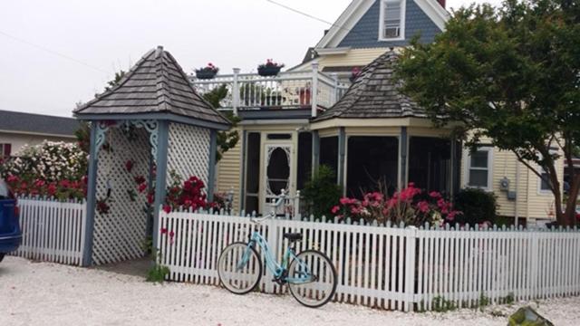 Miss Molly'S Inn Chincoteague Exteriör bild